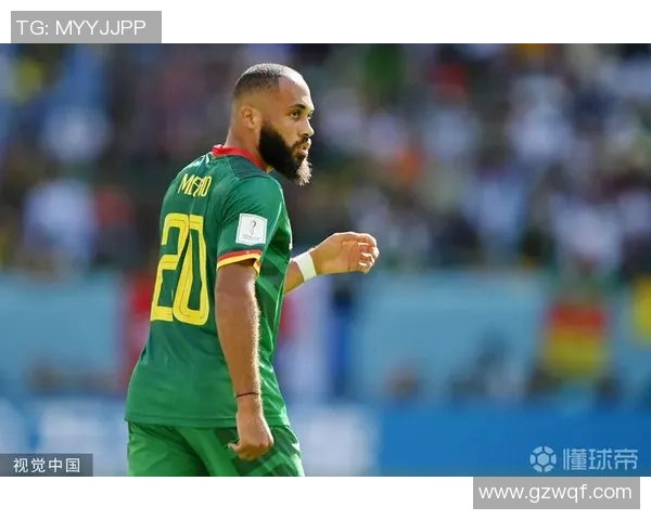 喀麦隆足球队代表球星有哪些他们的成就与影响力解析