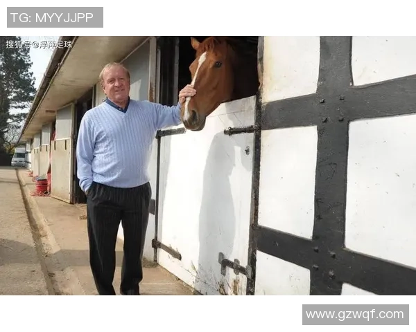 足坛巨星谢幕瞬间定格永恒激情岁月化作回忆